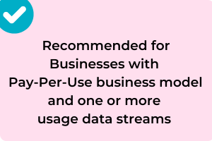 Light Recommended for Businesses with Pay-Per-Use business model and one or more usage data streams-1